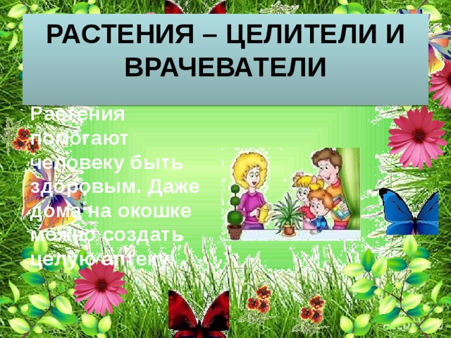 Растения – целители и врачеватели  Растения помогают человеку быть здоровым. Даже дома на окошке можно создать целую аптеку! 