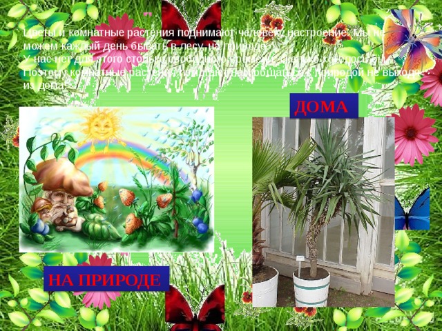 Цветы и комнатные растения поднимают человеку настроение. Мы не можем каждый день бывать в лесу, на природе. У нас нет для этого столько свободного времени, сколько хотелось бы. Поэтому комнатные растения помогают нам общаться с природой не выходя из дома! ДОМА НА ПРИРОДЕ 