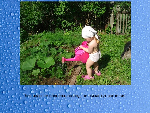 Без воды не польешь огород, не вырастут растения. 