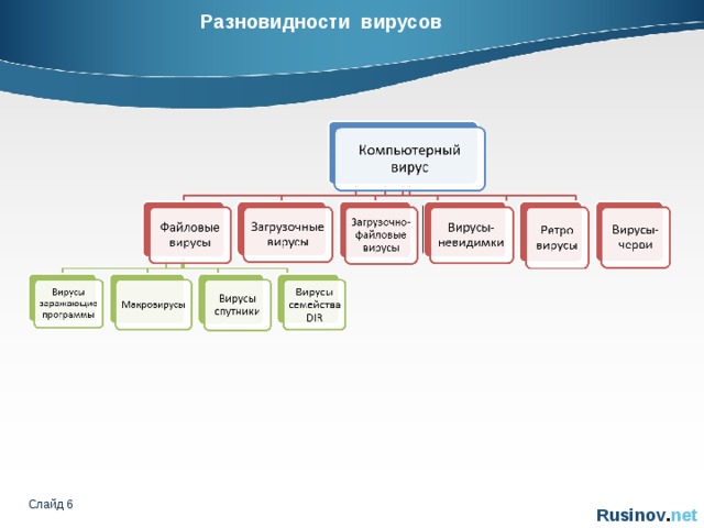 Разновидности вирусов Слайд    