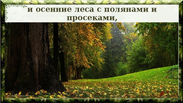 и осенние леса с полянами и просеками, 