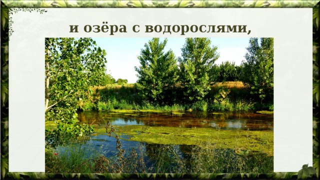 и озёра с водорослями, 