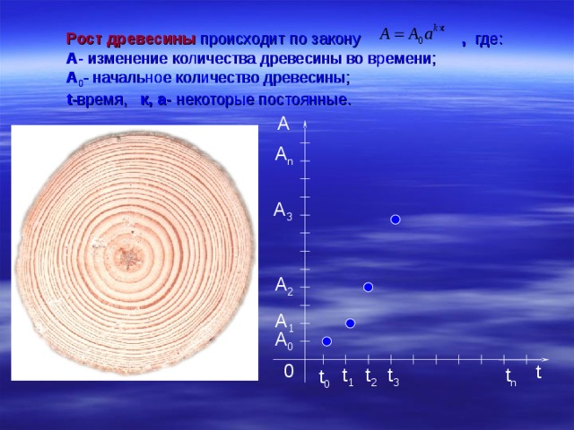  Рост древесины  происходит по закону   , где:   A - изменение количества древесины во времени;   A 0 - начальное количество древесины;   t -время, к, а- некоторые постоянные. А A n A 3 A 2 A 1 A 0 0 t t 3 t 1 t 2 t n t 0 