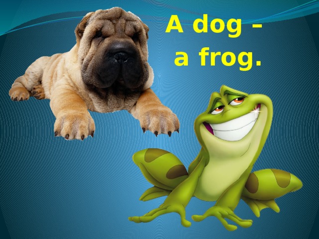 A dog – a frog. 