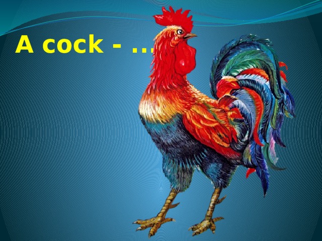 A cock - ... 