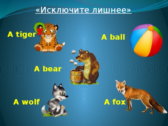 «Исключите лишнее»  A tiger A ball A bear  A fox A wolf 