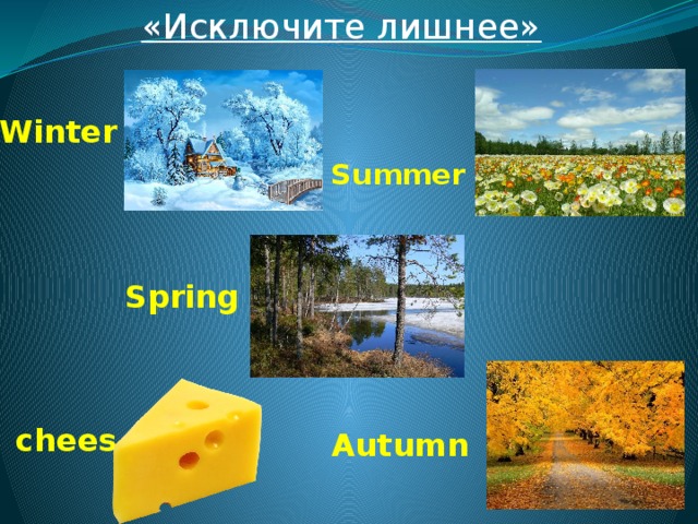 «Исключите лишнее»  Winter Summer Spring chees  Autumn 