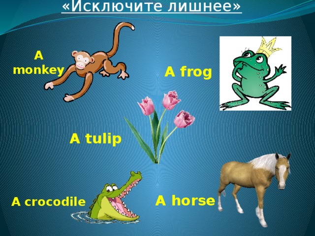 «Исключите лишнее»  A monkey A frog A tulip  A horse A crocodile 