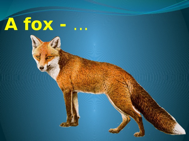 A fox - ... 