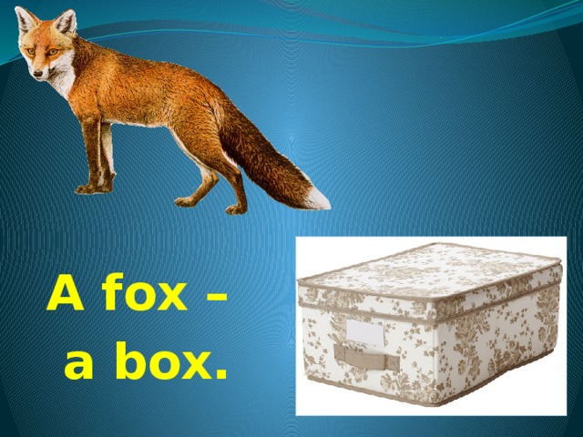 A fox –  a box. 