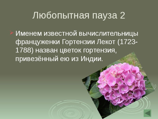 Любопытная пауза 2 Именем известной вычислительницы француженки Гортензии Лекот (1723-1788) назван цветок гортензия, привезённый ею из Индии. 