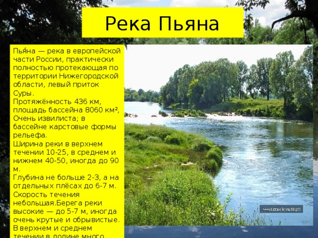 Река Пьяна Пья́на — река в европейской части России, практически полностью протекающая по территории Нижегородской области, левый приток Суры. Протяжённость 436 км, площадь бассейна 8060 км², Очень извилиста; в бассейне карстовые формы рельефа. Ширина реки в верхнем течении 10-25, в среднем и нижнем 40-50, иногда до 90 м. Глубина не больше 2-3, а на отдельных плёсах до 6-7 м. Скорость течения небольшая.Берега реки высокие — до 5-7 м, иногда очень крутые и обрывистые. В верхнем и среднем течении в долине много карстовых воронок и провалов на склонах и в пойме. 