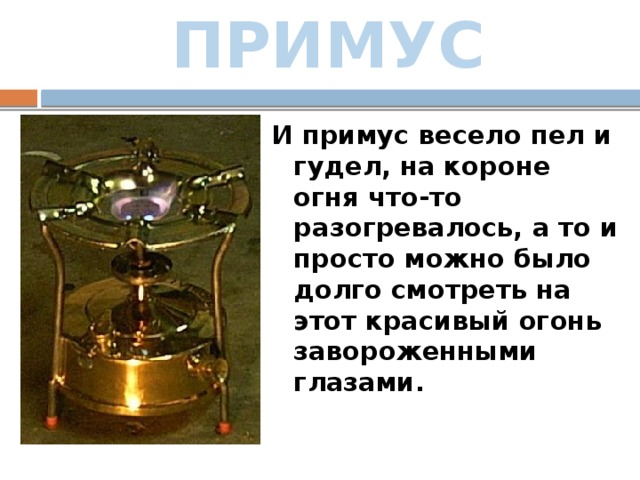 ПРИМУС И примус весело пел и гудел, на короне огня что-то разогревалось, а то и просто можно было долго смотреть на этот красивый огонь завороженными глазами. 
