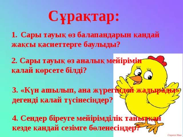 Тауық фото для детей