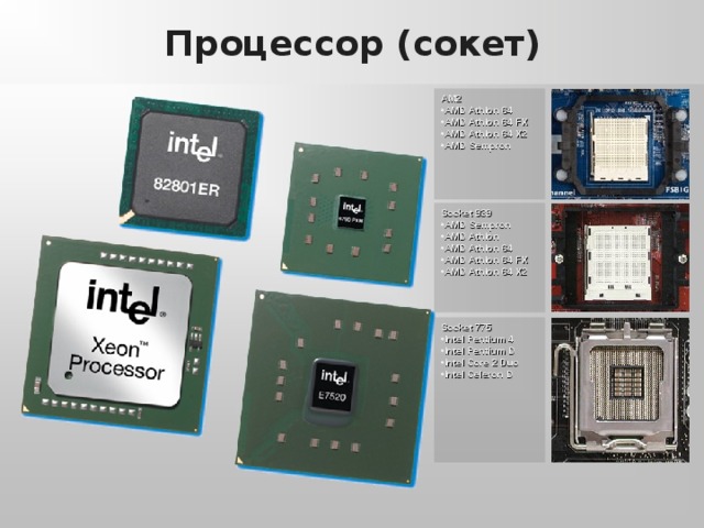 Какой нужен сокет для. AMD Athlon 2x2 Processor сокет. Сокет 7529 AMD. Сокеты процессоров Intel Xeon. Сокет тестер процессоров Intel.