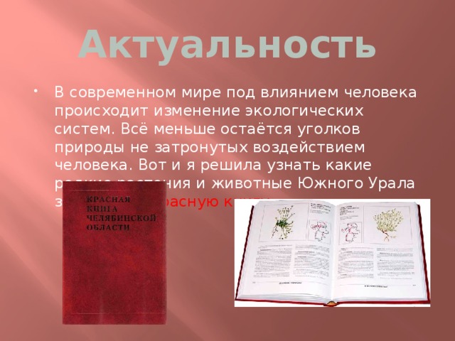 Актуальность В современном мире под влиянием человека происходит изменение экологических систем. Всё меньше остаётся уголков природы не затронутых воздействием человека. Вот и я решила узнать какие редкие растения и животные Южного Урала занесены в Красную книгу . 