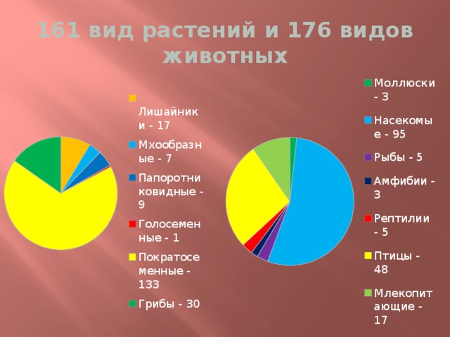 161 вид растений и 176 видов животных 