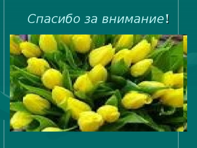 Спасибо за внимание ! 