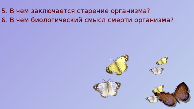 5. В чем заключается старение организма? 6. В чем биологический смысл смерти организма? 