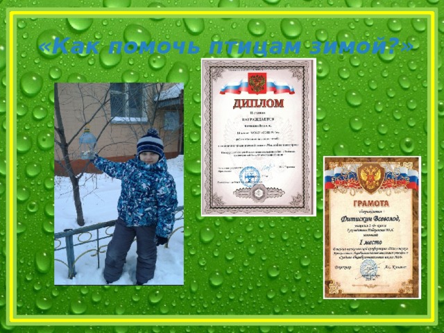 « Как помочь птицам зимой? »