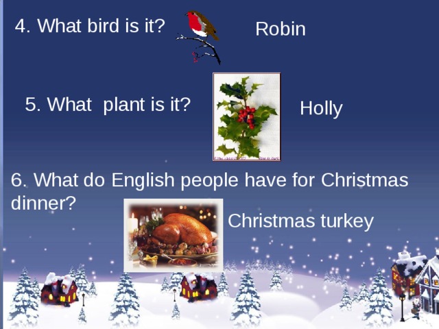 4. What bird is it? Robin 5. What plant is it? Holly 6. What do English people have for Christmas dinner? Christmas turkey 