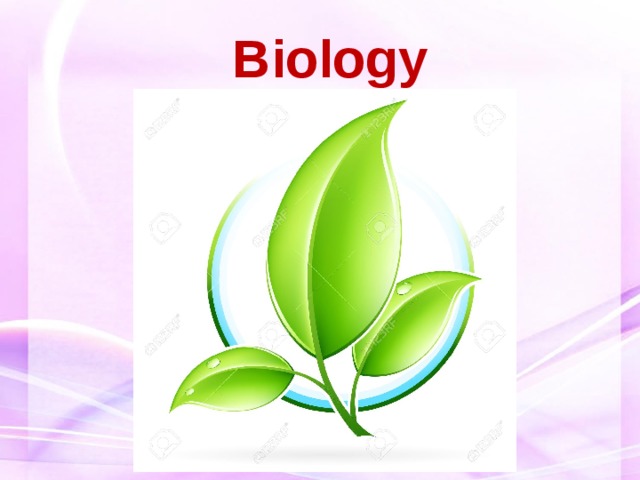 Biology 