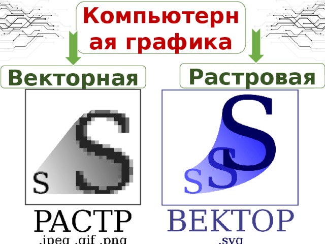 Вектор и растр