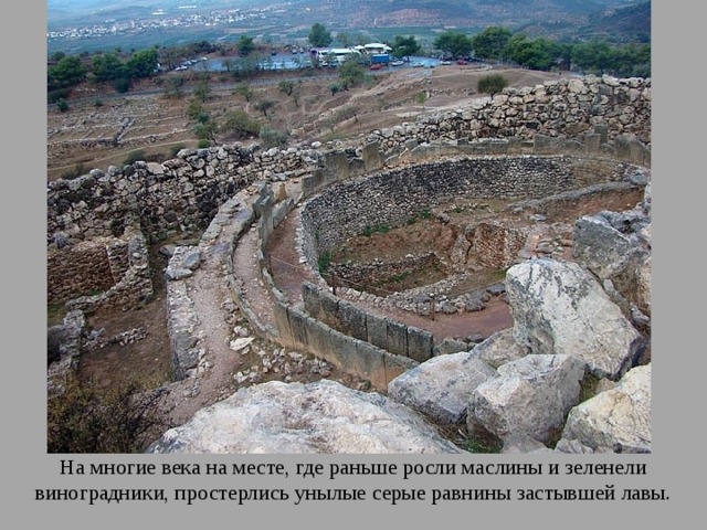 Раньше росли. Древнейший греческий город Микены был расположен. Микены впадина.