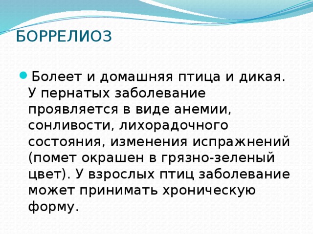БОРРЕЛИОЗ   Болеет и домашняя птица и дикая. У пернатых заболевание проявляется в виде анемии, сонливости, лихорадочного состояния, изменения испражнений (помет окрашен в грязно-зеленый цвет). У взрослых птиц заболевание может принимать хроническую форму. 
