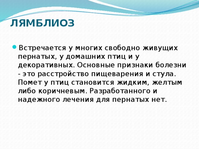 ЛЯМБЛИОЗ   Встречается у многих свободно живущих пернатых, у домашних птиц и у декоративных. Основные признаки болезни - это расстройство пищеварения и стула. Помет у птиц становится жидким, желтым либо коричневым. Разработанного и надежного лечения для пернатых нет. 