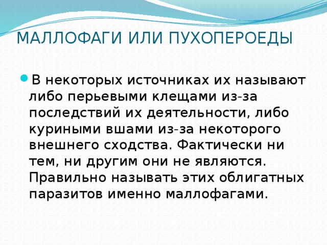 МАЛЛОФАГИ ИЛИ ПУХОПЕРОЕДЫ   В некоторых источниках их называют либо перьевыми клещами из-за последствий их деятельности, либо куриными вшами из-за некоторого внешнего сходства. Фактически ни тем, ни другим они не являются. Правильно называть этих облигатных паразитов именно маллофагами. 