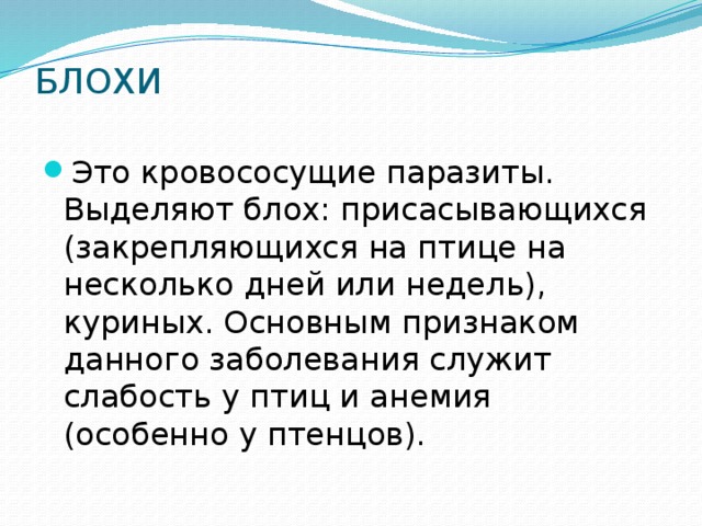 БЛОХИ   Это кровососущие паразиты. Выделяют блох: присасывающихся (закрепляющихся на птице на несколько дней или недель), куриных. Основным признаком данного заболевания служит слабость у птиц и анемия (особенно у птенцов). 