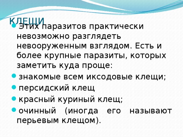 КЛЕЩИ   Этих паразитов практически невозможно разглядеть невооруженным взглядом. Есть и более крупные паразиты, которых заметить куда проще: знакомые всем иксодовые клещи; персидский клещ красный куриный клещ; очинный (иногда его называют перьевым клещом). 