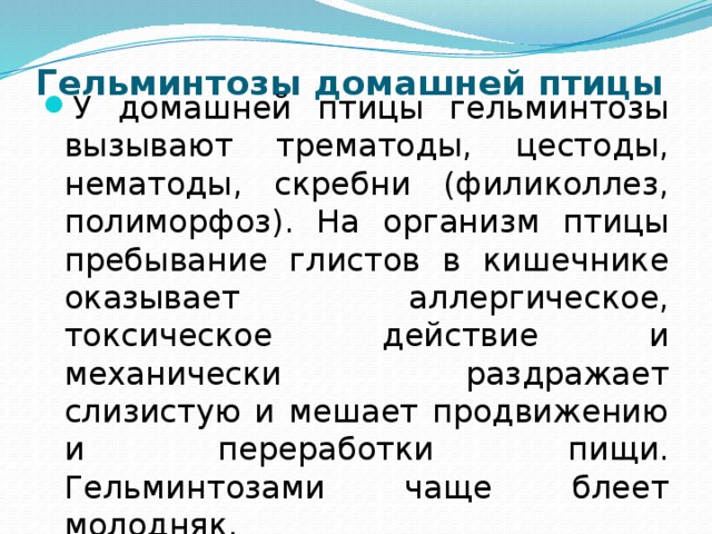Гельминтозы домашней птицы   У домашней птицы гельминтозы вызывают трематоды, цестоды, нематоды, скребни (филиколлез, полиморфоз). На организм птицы пребывание глистов в кишечнике оказывает аллергическое, токсическое действие и механически раздражает слизистую и мешает продвижению и переработки пищи. Гельминтозами чаще блеет молодняк. 