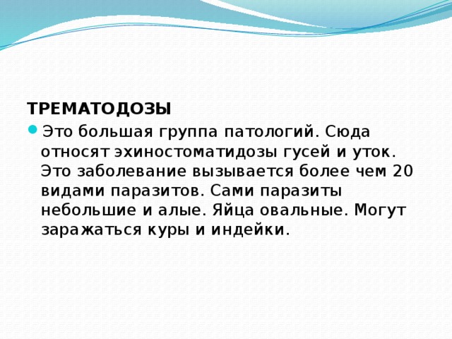 ТРЕМАТОДОЗЫ Это большая группа патологий. Сюда относят эхиностоматидозы гусей и уток. Это заболевание вызывается более чем 20 видами паразитов. Сами паразиты небольшие и алые. Яйца овальные. Могут заражаться куры и индейки. 