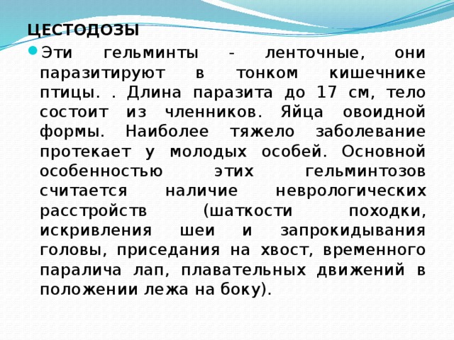 ЦЕСТОДОЗЫ Эти гельминты - ленточные, они паразитируют в тонком кишечнике птицы. . Длина паразита до 17 см, тело состоит из членников. Яйца овоидной формы. Наиболее тяжело заболевание протекает у молодых особей. Основной особенностью этих гельминтозов считается наличие неврологических расстройств (шаткости походки, искривления шеи и запрокидывания головы, приседания на хвост, временного паралича лап, плавательных движений в положении лежа на боку).  