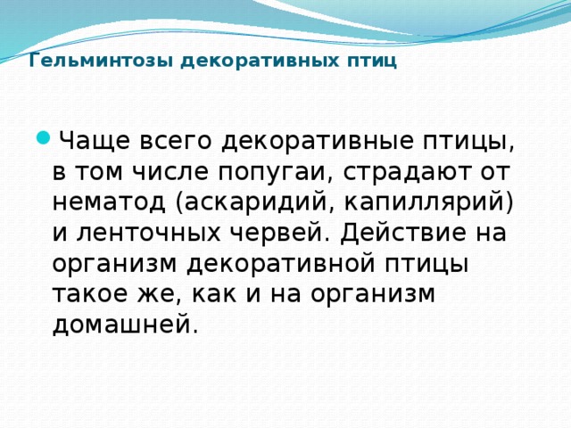 Гельминтозы декоративных птиц   Чаще всего декоративные птицы, в том числе попугаи, страдают от нематод (аскаридий, капиллярий) и ленточных червей. Действие на организм декоративной птицы такое же, как и на организм домашней. 