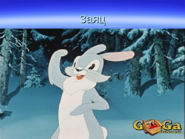 Заяц 