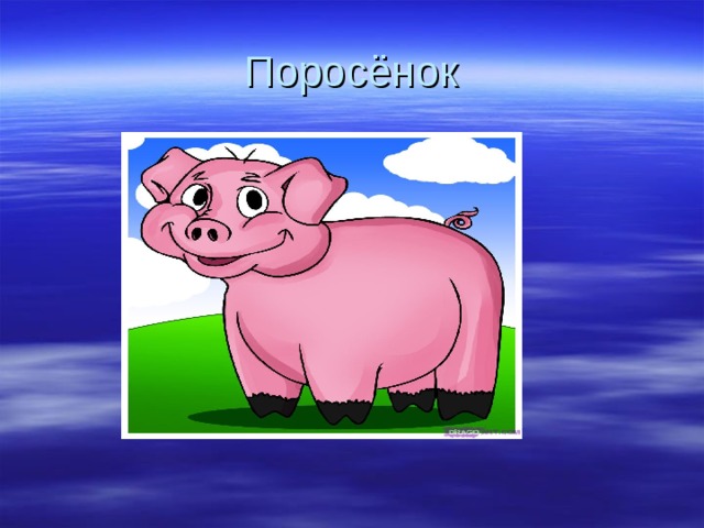 Поросёнок 