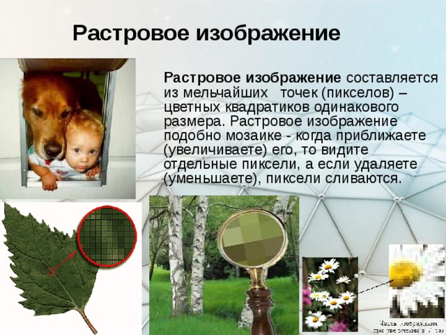 Растровое изображение  Растровое изображение составляется из мельчайших точек (пикселов) – цветных квадратиков одинакового размера. Растровое изображение подобно мозаике - когда приближаете (увеличиваете) его, то видите отдельные пиксели, а если удаляете (уменьшаете), пиксели сливаются. 