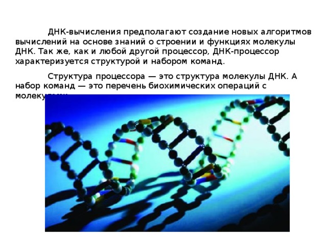  ДНК-вычисления предполагают создание новых алгоритмов вы­числений на основе знаний о строении и функциях молекулы ДНК. Так же, как и любой другой процессор, ДНК-процессор характеризуется структурой и набором команд.  Структура процессора — это структура молекулы ДНК. А набор команд — это перечень биохимических операций с молекулами. 