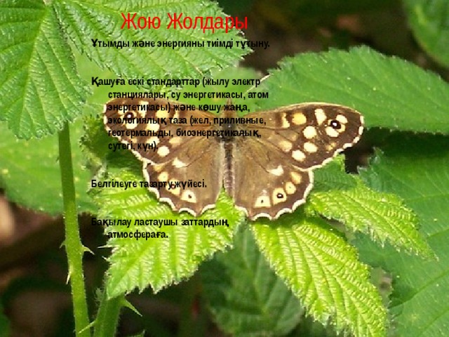  Жою Жолдары Ұтымды және энергияны тиімді тұтыну.  Қашуға ескі стандарттар (жылу электр станциялары, су энергетикасы, атом энергетикасы) және көшу жаңа, экологиялық таза (жел, приливные, геотермальды, биоэнергетикалық, сутегі, күн).  Белгілеуге тазарту жүйесі.  Бақылау ластаушы заттардың атмосфераға. 15 