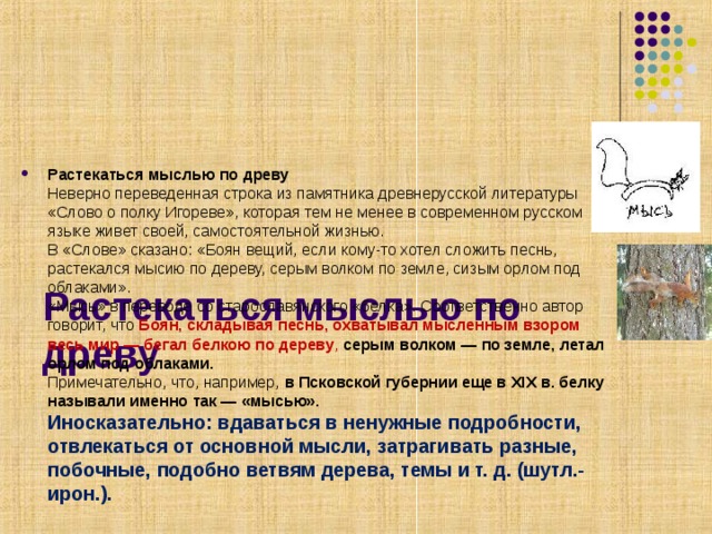     Растекаться мыслью по древу   Растекаться мыслью по древу  Неверно переведенная строка из памятника древнерусской литературы «Слово о полку Игореве», которая тем не менее в современном русском языке живет своей, самостоятельной жизнью.  В «Слове» сказано: «Боян вещий, если кому-то хотел сложить песнь, растекался мысию по дереву, серым волком по земле, сизым орлом под облаками».  «Мысь» в переводе со старославянского «белка». Соответственно автор говорит, что Боян, складывая песнь, охватывал мысленным взором весь мир — бегал белкою по дереву , серым волком — по земле, летал орлом под облаками.  Примечательно, что, например, в Псковской губернии еще в XIX в. белку называли именно так — «мысью».  Иносказательно: вдаваться в ненужные подробности, отвлекаться от основной мысли, затрагивать разные, побочные, подобно ветвям дерева, темы и т. д. (шутл.-ирон.).  