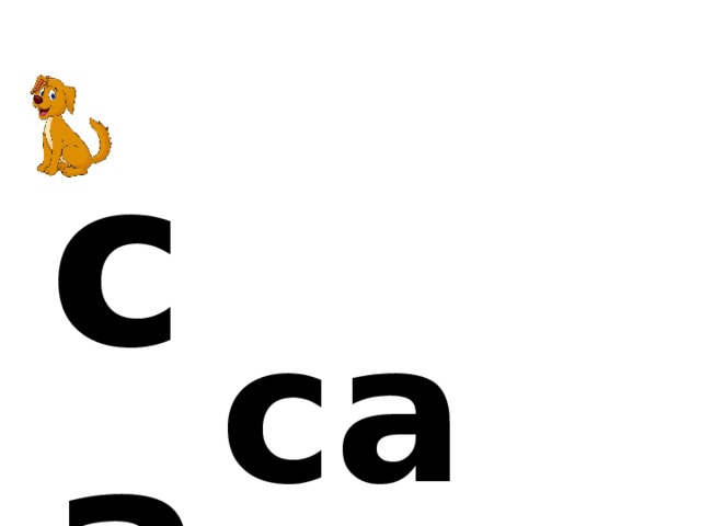 с а са 