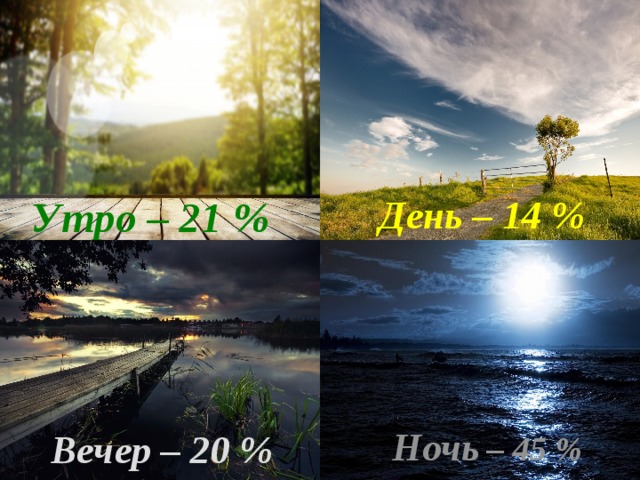 День – 14 % Утро – 21 %  Ночь – 45 % Вечер – 20 % 