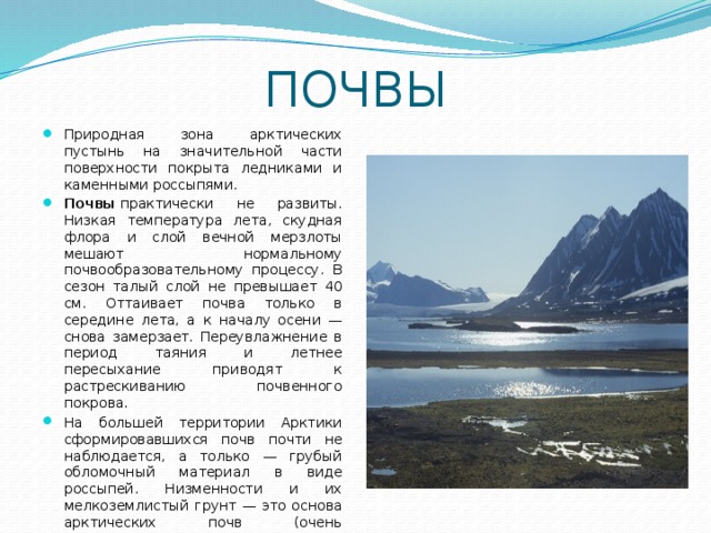 Почвы арктических пустынь. Особенности природной зоны Арктики. Зона арктических пустынь почва. Почвы зоны арктической пустыни. Арктика почвы характеристика.