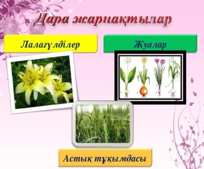 Сәндік гүлдер түрлері гүл өсіру шаруашылығындағы көктемгі жұмыстар презентация