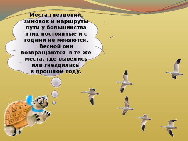 Места гнездовий, зимовок и маршруты пути у большинства птиц постоянные и с годами не меняются. Весной они возвращаются в те же места, где вывелись или гнездились в прошлом году. 