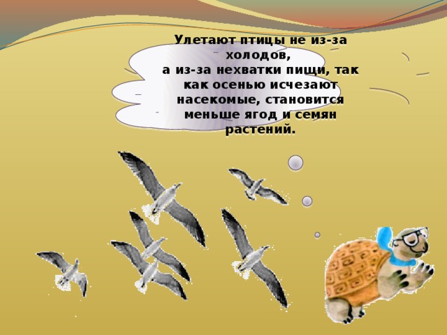 Улетают птицы не из-за холодов, а из-за нехватки пищи, так как осенью исчезают насекомые, становится меньше ягод и семян растений. 