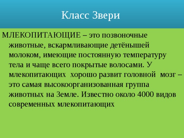 Класс Звери МЛЕКОПИТАЮЩИЕ – это позвоночные животные, вскармливающие детёнышей молоком, имеющие постоянную температуру тела и чаще всего покрытые волосами. У млекопитающих хорошо развит головной мозг – это самая высокоорганизованная группа животных на Земле. Известно около 4000 видов современных млекопитающих 